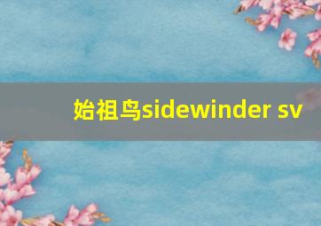 始祖鸟sidewinder sv